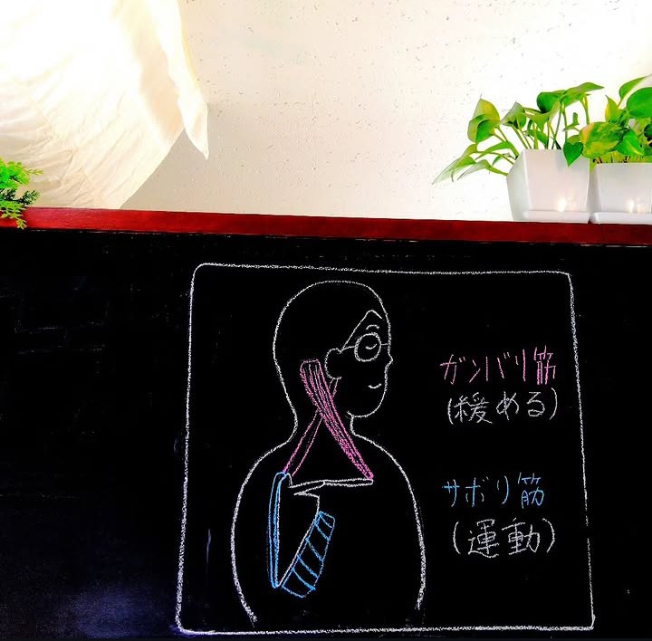 首と肩の筋肉の働きを描いたナカタニ整骨院の手描き黒板イラスト