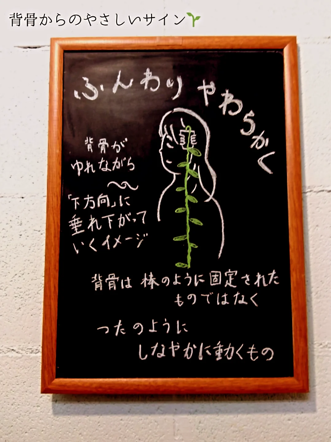 ふんわりやわらかく、背骨のしなやかな動きを描いた黒板の写真