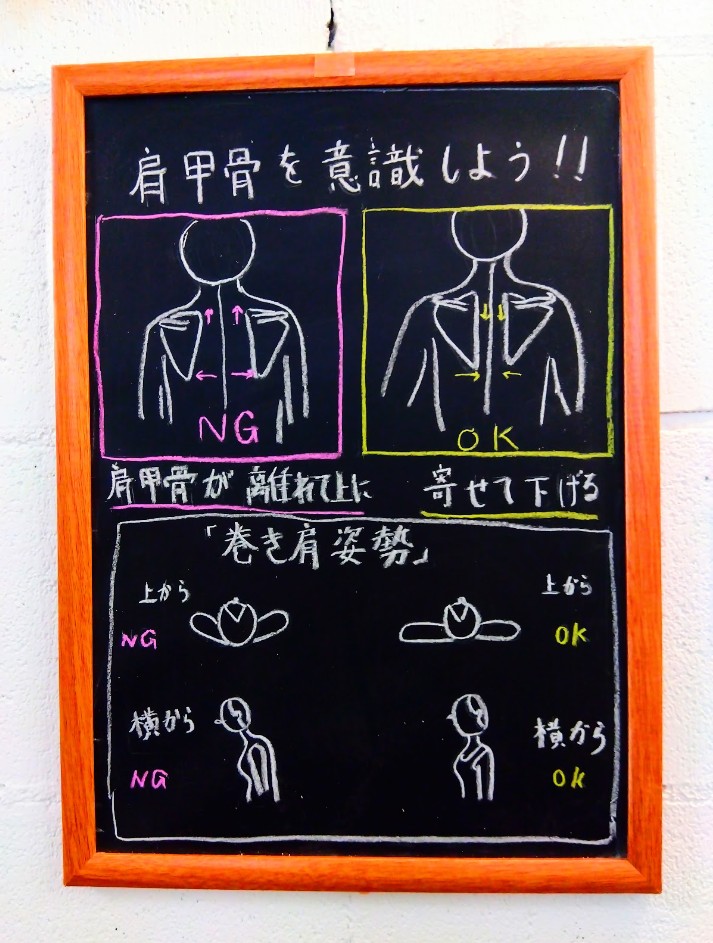 肩甲骨の動きに関わる筋肉を紹介する黒板イラスト